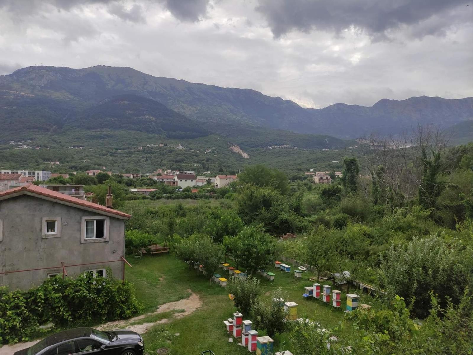 Green Valley Kotor Exterior foto